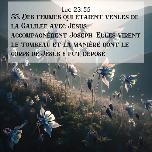 Segond21 Évangile selon Luc  ; image nature: image avec le verset biblique :Des femmes qui étaient venues de la Galilée avec Jésus accompagnèrent Joseph. Elles virent le tombeau et la manière dont le corps de Jésus y fut déposé. ;  ; 23:55
