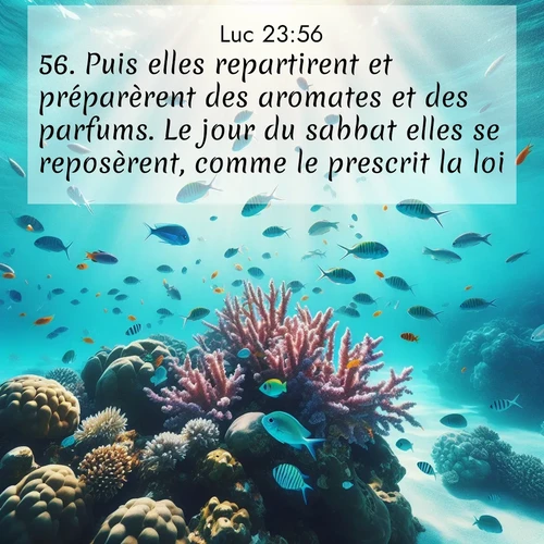 Segond21 Évangile selon Luc  ; image nature: image avec le verset biblique :Puis elles repartirent et préparèrent des aromates et des parfums. Le jour du sabbat elles se reposèrent, comme le prescrit la loi. ;  ; 23:56
