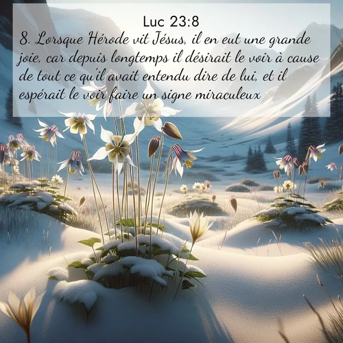 Segond21 Évangile selon Luc  ; image nature: image avec le verset biblique :Lorsque Hérode vit Jésus, il en eut une grande joie, car depuis longtemps il désirait le voir à cause de tout ce qu&#039;il avait entendu dire de lui, et il espérait le voir faire un signe miraculeux. ;  ; 23:8