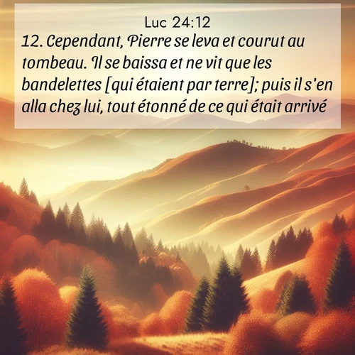 Segond21 Évangile selon Luc  ; image nature: image avec le verset biblique :Cependant, Pierre se leva et courut au tombeau. Il se baissa et ne vit que les bandelettes [qui étaient par terre]; puis il s&#039;en alla chez lui, tout étonné de ce qui était arrivé. ;  ; 24:12