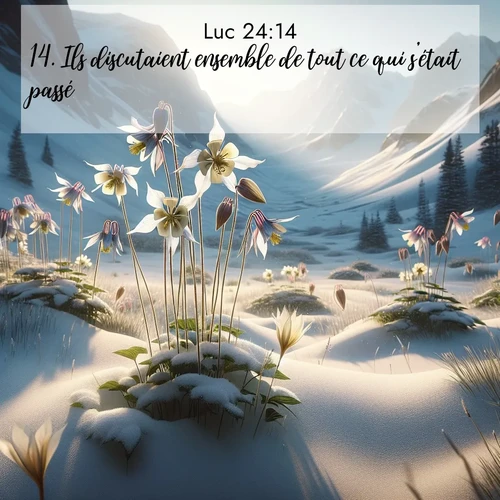 Segond21 Évangile selon Luc  ; image nature: image avec le verset biblique :Ils discutaient ensemble de tout ce qui s&#039;était passé. ;  ; 24:14