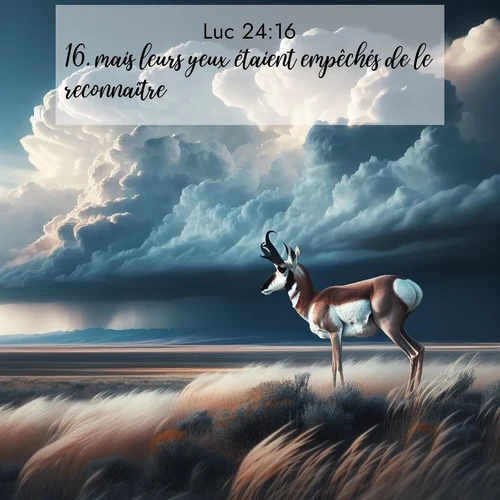 Segond21 Évangile selon Luc  ; image nature: image avec le verset biblique :mais leurs yeux étaient empêchés de le reconnaître. ;  ; 24:16