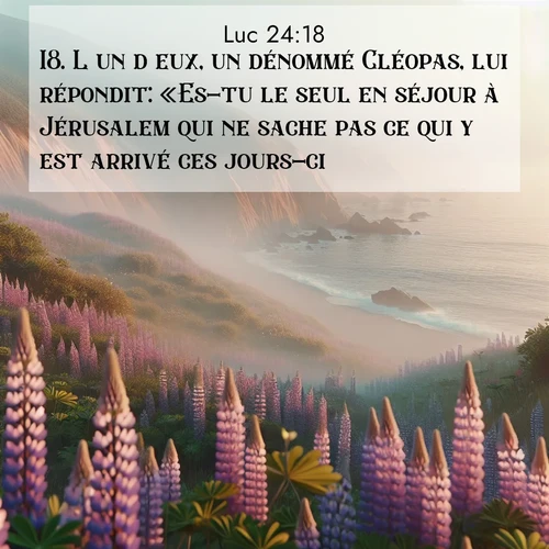 Segond21 Évangile selon Luc  ; image nature: image avec le verset biblique :L&#039;un d&#039;eux, un dénommé Cléopas, lui répondit: «Es-tu le seul en séjour à Jérusalem qui ne sache pas ce qui y est arrivé ces jours-ci?» ;  ; 24:18