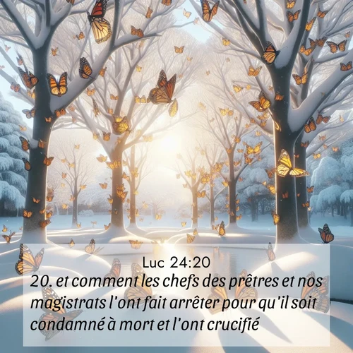 Segond21 Évangile selon Luc  ; image nature: image avec le verset biblique :et comment les chefs des prêtres et nos magistrats l&#039;ont fait arrêter pour qu&#039;il soit condamné à mort et l&#039;ont crucifié. ;  ; 24:20