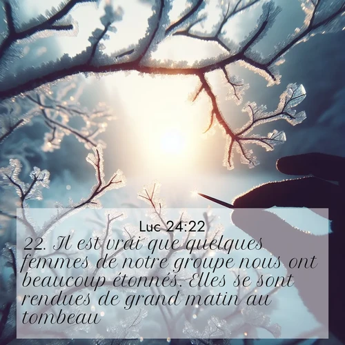Segond21 Évangile selon Luc  ; image nature: image avec le verset biblique :Il est vrai que quelques femmes de notre groupe nous ont beaucoup étonnés. Elles se sont rendues de grand matin au tombeau ;  ; 24:22