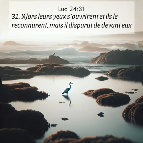 Segond21 Évangile selon Luc  ; image nature: image avec le verset biblique :Alors leurs yeux s&#039;ouvrirent et ils le reconnurent, mais il disparut de devant eux. ;  ; 24:31
