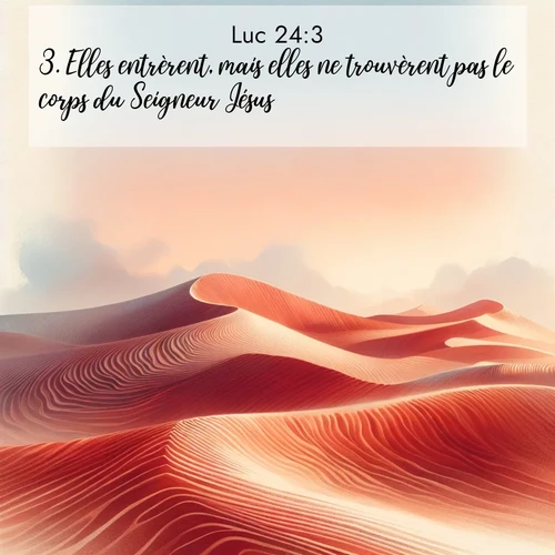 Segond21 Évangile selon Luc  ; image nature: image avec le verset biblique :Elles entrèrent, mais elles ne trouvèrent pas le corps du Seigneur Jésus. ;  ; 24:3