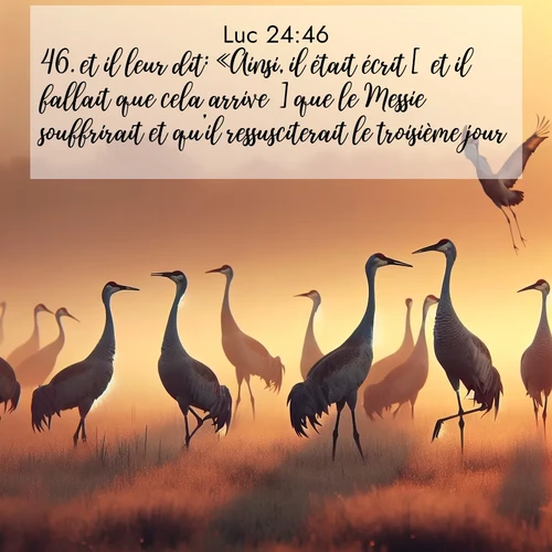 Segond21 Évangile selon Luc  ; image nature: image avec le verset biblique :et il leur dit: «Ainsi, il était écrit [ et il fallait que cela arrive ] que le Messie souffrirait et qu&#039;il ressusciterait le troisième jour, ;  ; 24:46