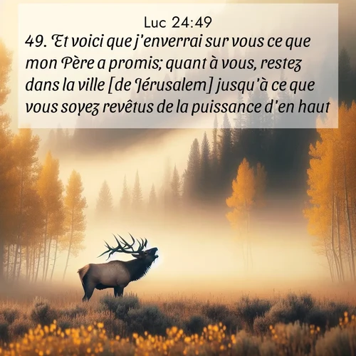 Segond21 Évangile selon Luc  ; image nature: image avec le verset biblique :Et voici que j&#039;enverrai sur vous ce que mon Père a promis; quant à vous, restez dans la ville [de Jérusalem] jusqu&#039;à ce que vous soyez revêtus de la puissance d&#039;en haut.» ;  ; 24:49