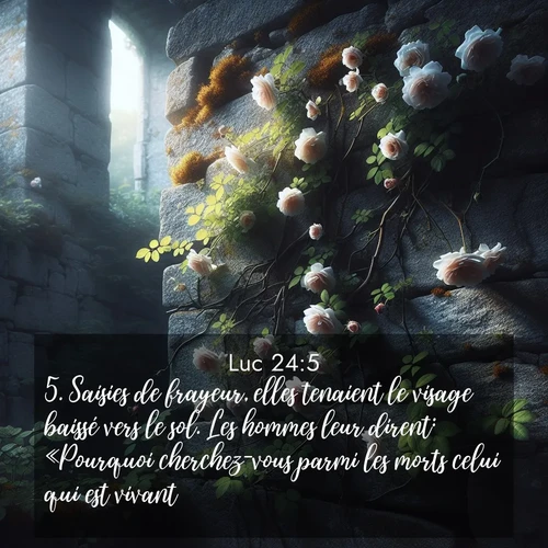 Segond21 Évangile selon Luc  ; image nature: image avec le verset biblique :Saisies de frayeur, elles tenaient le visage baissé vers le sol. Les hommes leur dirent: «Pourquoi cherchez-vous parmi les morts celui qui est vivant? ;  ; 24:5