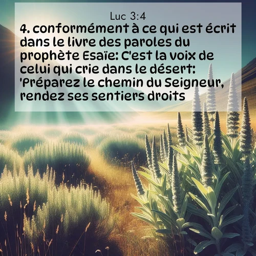 Segond21 Évangile selon Luc  ; image nature: image avec le verset biblique :conformément à ce qui est écrit dans le livre des paroles du prophète Esaïe: C&#039;est la voix de celui qui crie dans le désert: &#039;Préparez le chemin du Seigneur, rendez ses sentiers droits.&#039; ;  ; 3:4