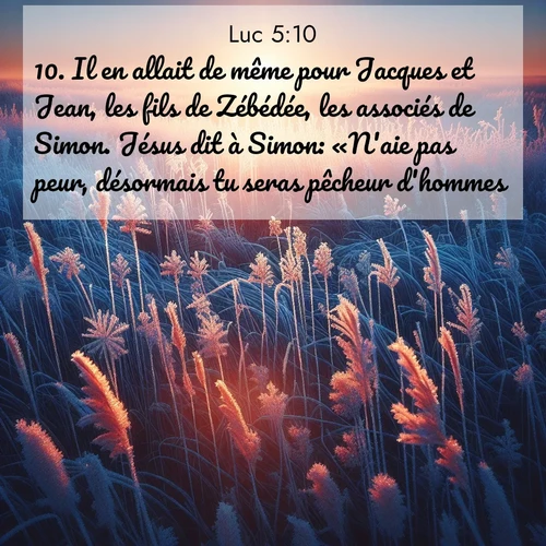 Segond21 Évangile selon Luc  ; image nature: image avec le verset biblique :Il en allait de même pour Jacques et Jean, les fils de Zébédée, les associés de Simon. Jésus dit à Simon: «N&#039;aie pas peur, désormais tu seras pêcheur d&#039;hommes.» ;  ; 5:10