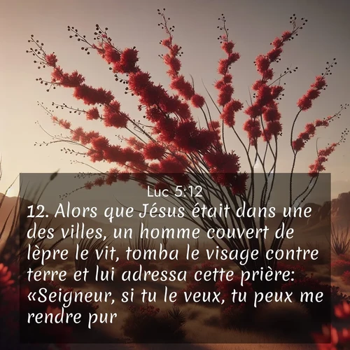 Segond21 Évangile selon Luc  ; image nature: image avec le verset biblique :Alors que Jésus était dans une des villes, un homme couvert de lèpre le vit, tomba le visage contre terre et lui adressa cette prière: «Seigneur, si tu le veux, tu peux me rendre pur.» ;  ; 5:12