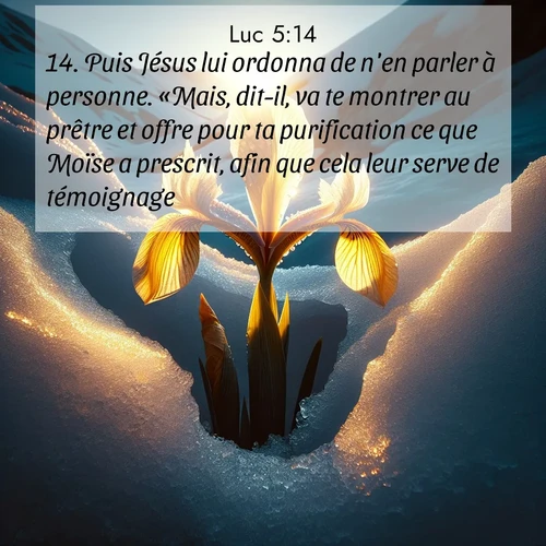 Segond21 Évangile selon Luc  ; image nature: image avec le verset biblique :Puis Jésus lui ordonna de n&#039;en parler à personne. «Mais, dit-il, va te montrer au prêtre et offre pour ta purification ce que Moïse a prescrit, afin que cela leur serve de témoignage.» ;  ; 5:14