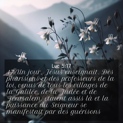 Segond21 Évangile selon Luc  ; image nature: image avec le verset biblique :Un jour, Jésus enseignait. Des pharisiens et des professeurs de la loi, venus de tous les villages de la Galilée, de la Judée et de Jérusalem, étaient assis là et la puissance du Seigneur se manifestait par des guérisons. ;  ; 5:17