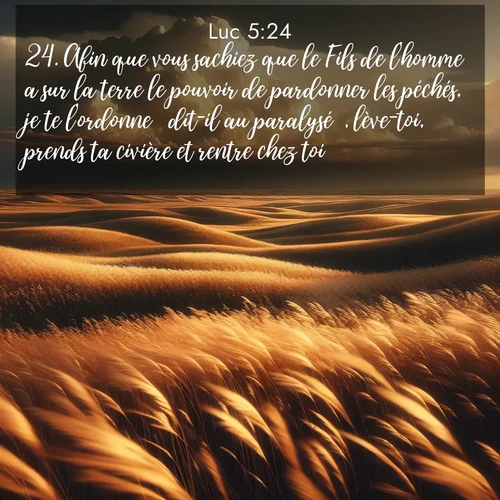 Segond21 Évangile selon Luc  ; image nature: image avec le verset biblique :Afin que vous sachiez que le Fils de l&#039;homme a sur la terre le pouvoir de pardonner les péchés, je te l&#039;ordonne  dit-il au paralysé , lève-toi, prends ta civière et rentre chez toi.» ;  ; 5:24