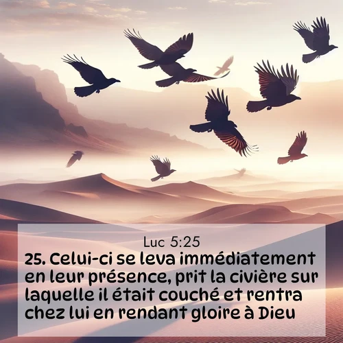 Segond21 Évangile selon Luc  ; image nature: image avec le verset biblique :Celui-ci se leva immédiatement en leur présence, prit la civière sur laquelle il était couché et rentra chez lui en rendant gloire à Dieu. ;  ; 5:25