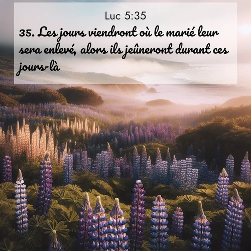 Segond21 Évangile selon Luc  ; image nature: image avec le verset biblique :Les jours viendront où le marié leur sera enlevé, alors ils jeûneront durant ces jours-là.» ;  ; 5:35
