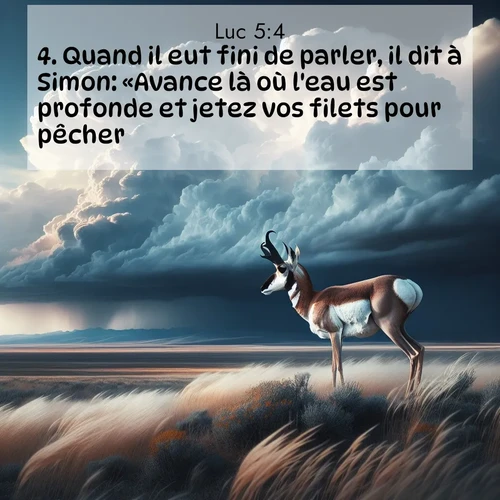 Segond21 Évangile selon Luc  ; image nature: image avec le verset biblique :Quand il eut fini de parler, il dit à Simon: «Avance là où l&#039;eau est profonde et jetez vos filets pour pêcher.» ;  ; 5:4