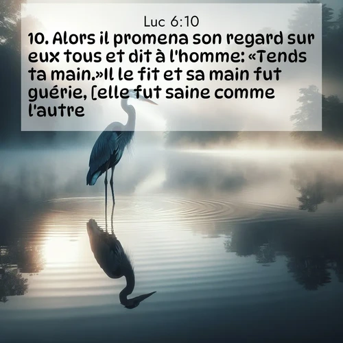 Segond21 Évangile selon Luc  ; image nature: image avec le verset biblique :Alors il promena son regard sur eux tous et dit à l&#039;homme: «Tends ta main.»Il le fit et sa main fut guérie, [elle fut saine comme l&#039;autre]. ;  ; 6:10