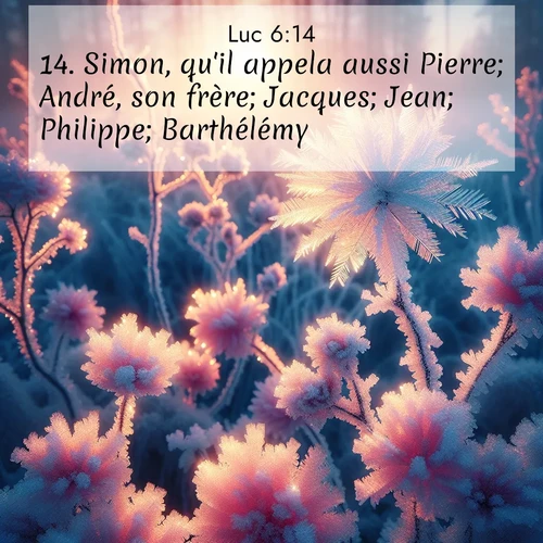 Segond21 Évangile selon Luc  ; image nature: image avec le verset biblique :Simon, qu&#039;il appela aussi Pierre; André, son frère; Jacques; Jean; Philippe; Barthélémy; ;  ; 6:14