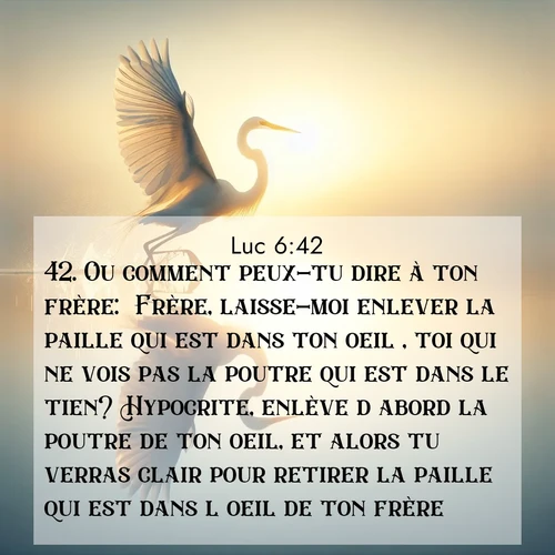 Segond21 Évangile selon Luc  ; image nature: image avec le verset biblique :Ou comment peux-tu dire à ton frère: &#039;Frère, laisse-moi enlever la paille qui est dans ton oeil&#039;, toi qui ne vois pas la poutre qui est dans le tien? Hypocrite, enlève d&#039;abord la poutre de ton oeil, et alors tu verras clair pour retirer la paille qui est dans l&#039;oeil de ton frère. ;  ; 6:42