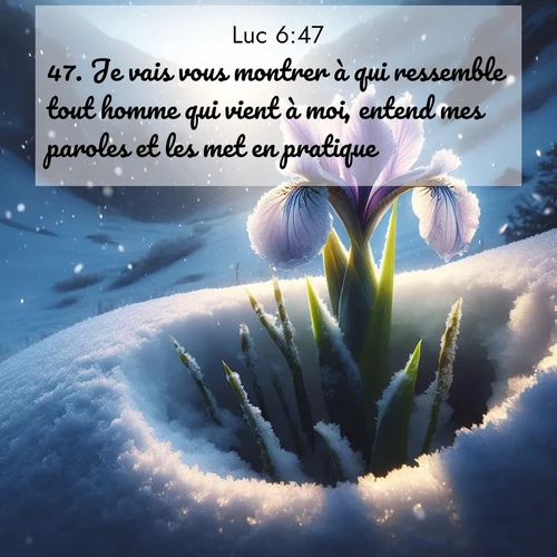 Segond21 Évangile selon Luc  ; image nature: image avec le verset biblique :Je vais vous montrer à qui ressemble tout homme qui vient à moi, entend mes paroles et les met en pratique: ;  ; 6:47