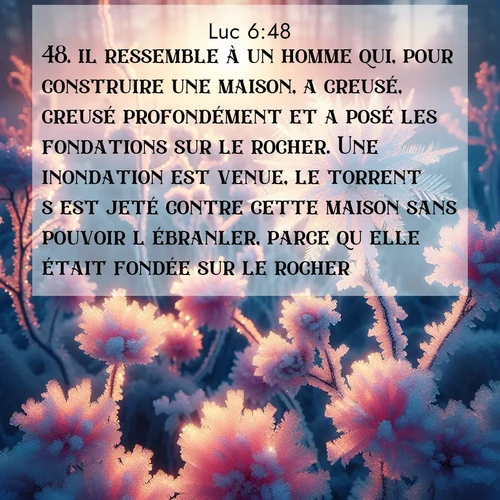Segond21 Évangile selon Luc  ; image nature: image avec le verset biblique :il ressemble à un homme qui, pour construire une maison, a creusé, creusé profondément et a posé les fondations sur le rocher. Une inondation est venue, le torrent s&#039;est jeté contre cette maison sans pouvoir l&#039;ébranler, parce qu&#039;elle était fondée sur le rocher. ;  ; 6:48