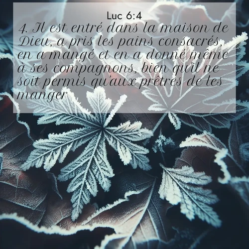 Segond21 Évangile selon Luc  ; image nature: image avec le verset biblique :Il est entré dans la maison de Dieu, a pris les pains consacrés, en a mangé et en a donné même à ses compagnons, bien qu&#039;il ne soit permis qu&#039;aux prêtres de les manger!» ;  ; 6:4