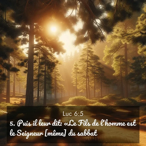 Segond21 Évangile selon Luc  ; image nature: image avec le verset biblique :Puis il leur dit: «Le Fils de l&#039;homme est le Seigneur [même] du sabbat.» ;  ; 6:5