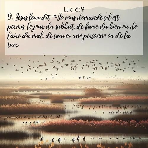 Segond21 Évangile selon Luc  ; image nature: image avec le verset biblique :Jésus leur dit: «Je vous demande s&#039;il est permis, le jour du sabbat, de faire du bien ou de faire du mal, de sauver une personne ou de la tuer.» ;  ; 6:9