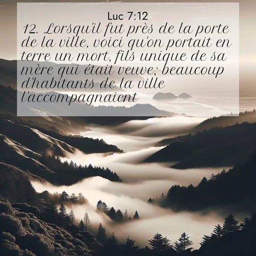 Segond21 Évangile selon Luc  ; image nature: image avec le verset biblique :Lorsqu&#039;il fut près de la porte de la ville, voici qu&#039;on portait en terre un mort, fils unique de sa mère qui était veuve; beaucoup d&#039;habitants de la ville l&#039;accompagnaient. ;  ; 7:12
