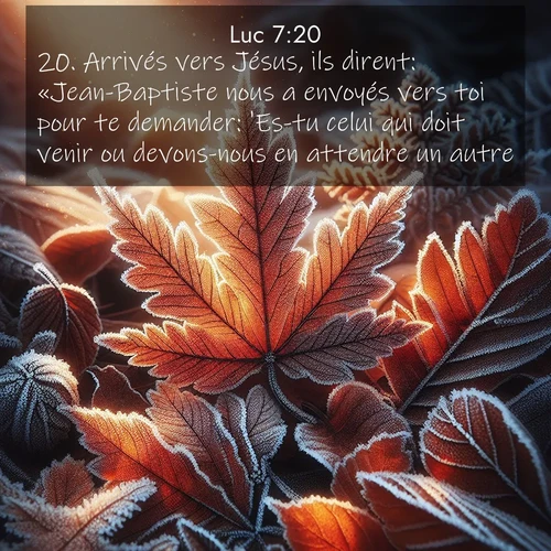 Segond21 Évangile selon Luc  ; image nature: image avec le verset biblique :Arrivés vers Jésus, ils dirent: «Jean-Baptiste nous a envoyés vers toi pour te demander: &#039;Es-tu celui qui doit venir ou devons-nous en attendre un autre?&#039;» ;  ; 7:20