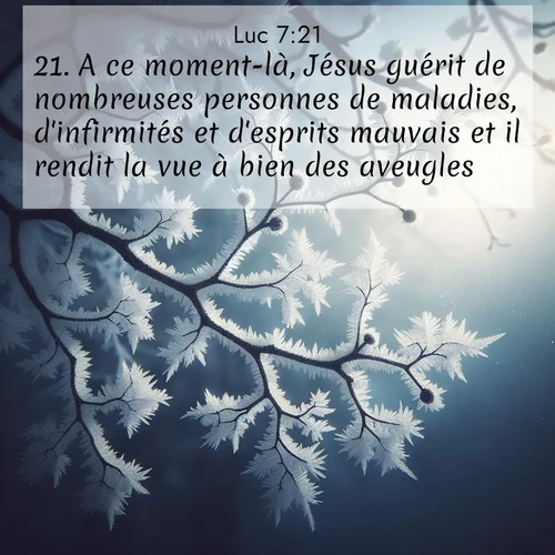 Segond21 Évangile selon Luc  ; image nature: image avec le verset biblique :A ce moment-là, Jésus guérit de nombreuses personnes de maladies, d&#039;infirmités et d&#039;esprits mauvais et il rendit la vue à bien des aveugles. ;  ; 7:21