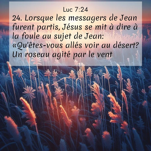 Segond21 Évangile selon Luc  ; image nature: image avec le verset biblique :Lorsque les messagers de Jean furent partis, Jésus se mit à dire à la foule au sujet de Jean: «Qu&#039;êtes-vous allés voir au désert? Un roseau agité par le vent? ;  ; 7:24