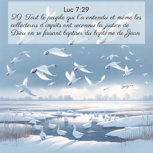 Segond21 Évangile selon Luc  ; image nature: image avec le verset biblique :Tout le peuple qui l&#039;a entendu et même les collecteurs d&#039;impôts ont reconnu la justice de Dieu en se faisant baptiser du baptême de Jean; ;  ; 7:29
