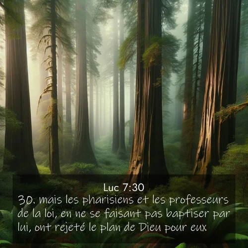 Segond21 Évangile selon Luc  ; image nature: image avec le verset biblique :mais les pharisiens et les professeurs de la loi, en ne se faisant pas baptiser par lui, ont rejeté le plan de Dieu pour eux. ;  ; 7:30