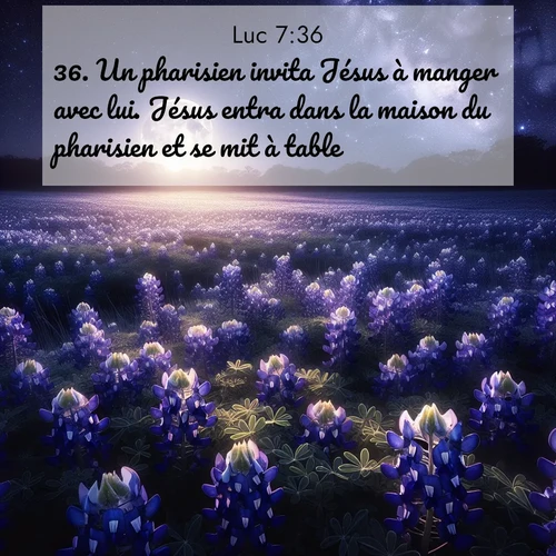 Segond21 Évangile selon Luc  ; image nature: image avec le verset biblique :Un pharisien invita Jésus à manger avec lui. Jésus entra dans la maison du pharisien et se mit à table. ;  ; 7:36