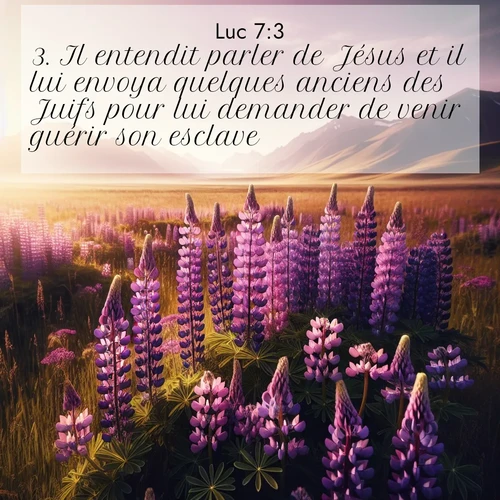 Segond21 Évangile selon Luc  ; image nature: image avec le verset biblique :Il entendit parler de Jésus et il lui envoya quelques anciens des Juifs pour lui demander de venir guérir son esclave. ;  ; 7:3