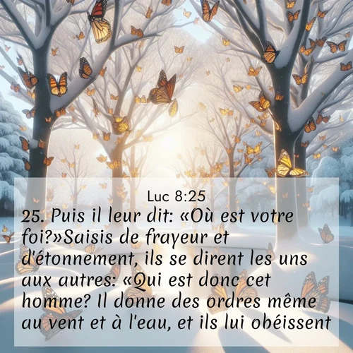 Segond21 Évangile selon Luc  ; image nature: image avec le verset biblique :Puis il leur dit: «Où est votre foi?»Saisis de frayeur et d&#039;étonnement, ils se dirent les uns aux autres: «Qui est donc cet homme? Il donne des ordres même au vent et à l&#039;eau, et ils lui obéissent!» ;  ; 8:25