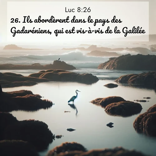 Segond21 Évangile selon Luc  ; image nature: image avec le verset biblique :Ils abordèrent dans le pays des Gadaréniens, qui est vis-à-vis de la Galilée. ;  ; 8:26