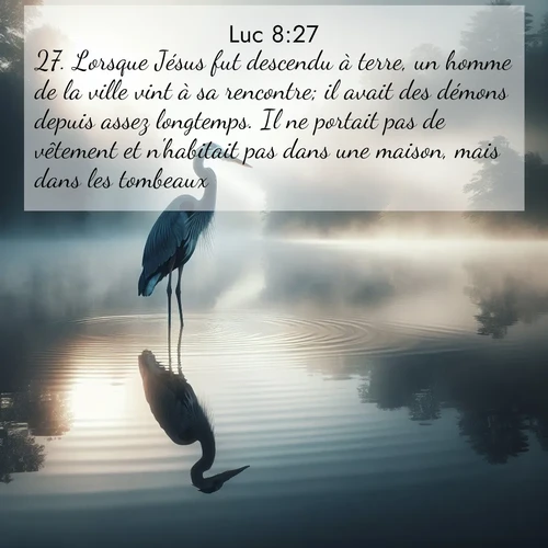 Segond21 Évangile selon Luc  ; image nature: image avec le verset biblique :Lorsque Jésus fut descendu à terre, un homme de la ville vint à sa rencontre; il avait des démons depuis assez longtemps. Il ne portait pas de vêtement et n&#039;habitait pas dans une maison, mais dans les tombeaux. ;  ; 8:27