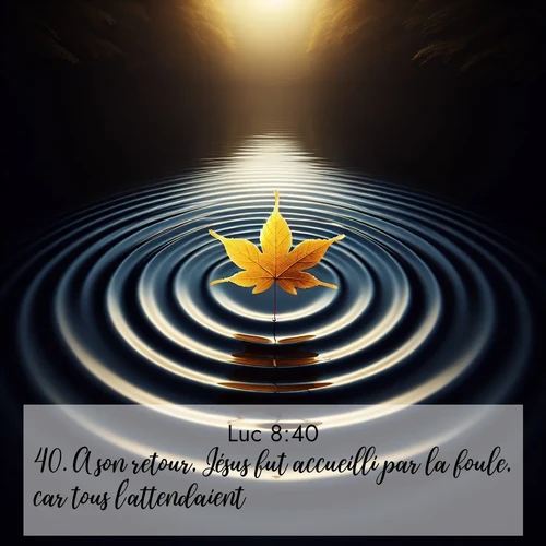 Segond21 Évangile selon Luc  ; image nature: image avec le verset biblique :A son retour, Jésus fut accueilli par la foule, car tous l&#039;attendaient. ;  ; 8:40