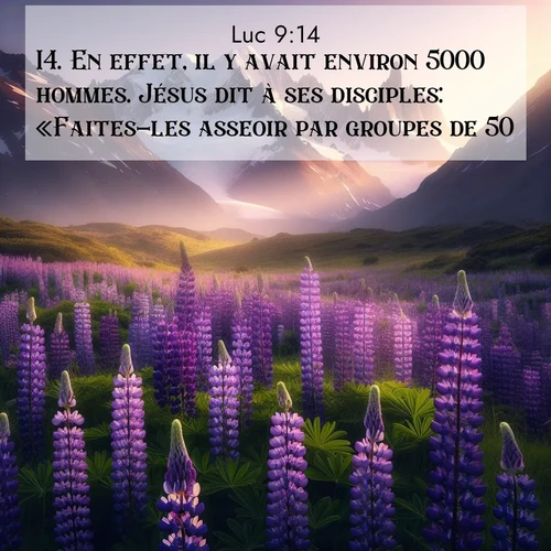 Segond21 Évangile selon Luc  ; image nature: image avec le verset biblique :En effet, il y avait environ 5000 hommes. Jésus dit à ses disciples: «Faites-les asseoir par groupes de 50.» ;  ; 9:14
