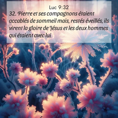 Segond21 Évangile selon Luc  ; image nature: image avec le verset biblique :Pierre et ses compagnons étaient accablés de sommeil mais, restés éveillés, ils virent la gloire de Jésus et les deux hommes qui étaient avec lui. ;  ; 9:32