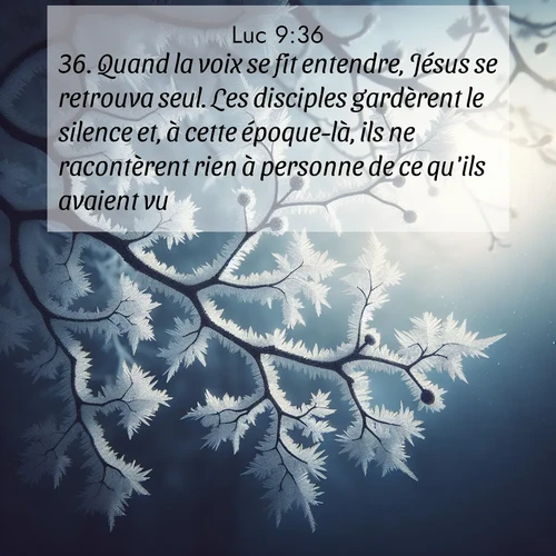 Segond21 Évangile selon Luc  ; image nature: image avec le verset biblique :Quand la voix se fit entendre, Jésus se retrouva seul. Les disciples gardèrent le silence et, à cette époque-là, ils ne racontèrent rien à personne de ce qu&#039;ils avaient vu. ;  ; 9:36