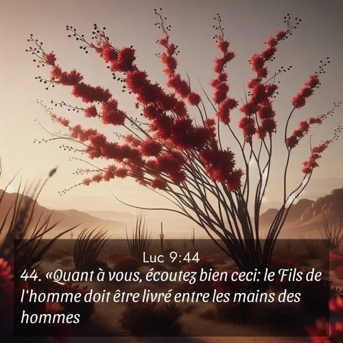 Segond21 Évangile selon Luc  ; image nature: image avec le verset biblique :«Quant à vous, écoutez bien ceci: le Fils de l&#039;homme doit être livré entre les mains des hommes.» ;  ; 9:44
