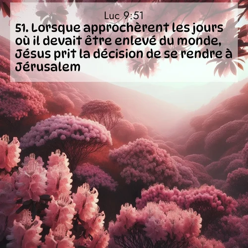 Segond21 Évangile selon Luc  ; image nature: image avec le verset biblique :Lorsque approchèrent les jours où il devait être enlevé du monde, Jésus prit la décision de se rendre à Jérusalem. ;  ; 9:51
