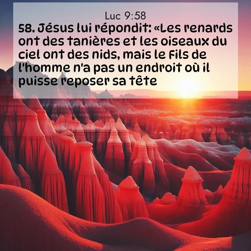Segond21 Évangile selon Luc  ; image nature: image avec le verset biblique :Jésus lui répondit: «Les renards ont des tanières et les oiseaux du ciel ont des nids, mais le Fils de l&#039;homme n&#039;a pas un endroit où il puisse reposer sa tête.» ;  ; 9:58
