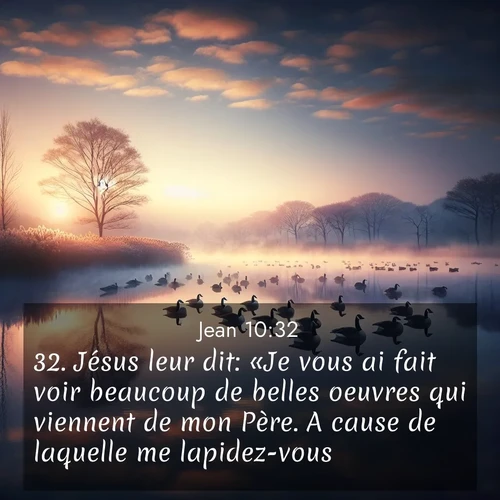 Segond21 Évangile selon Jean  ; image nature: image avec le verset biblique :Jésus leur dit: «Je vous ai fait voir beaucoup de belles oeuvres qui viennent de mon Père. A cause de laquelle me lapidez-vous?» ;  ; 10:32